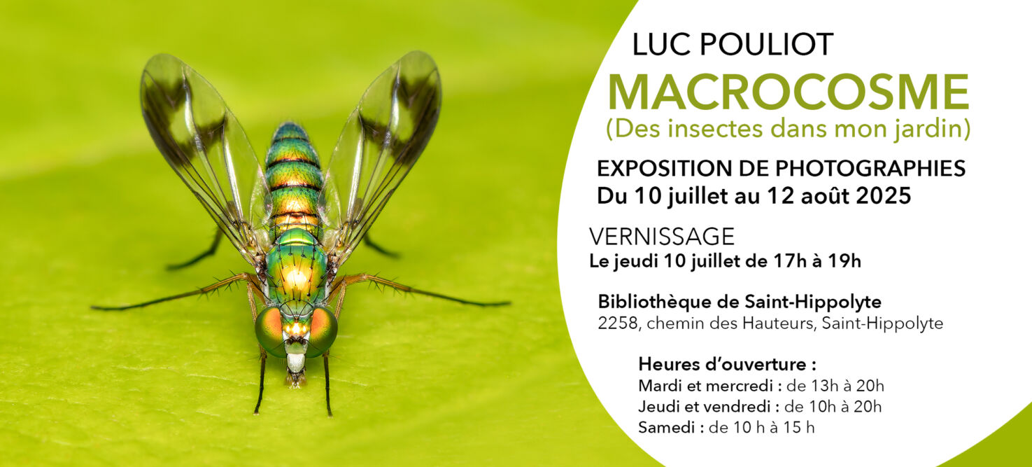 Luc Pouliot/St-Hippolyte