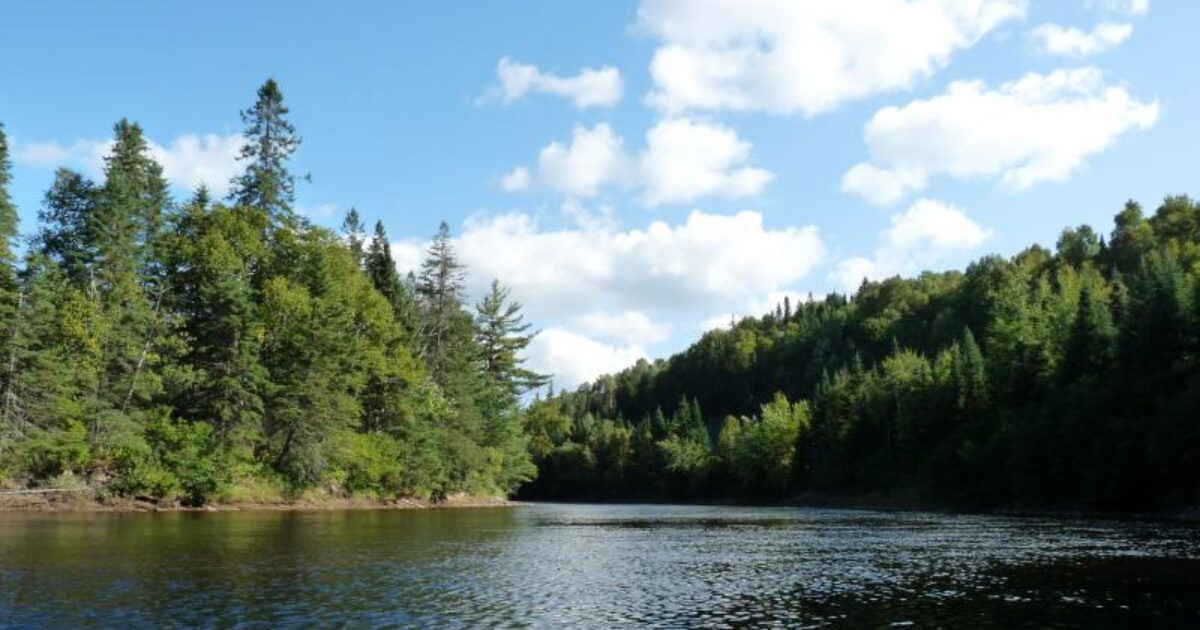 Ville de Rivière-Rouge | Dans nos Laurentides