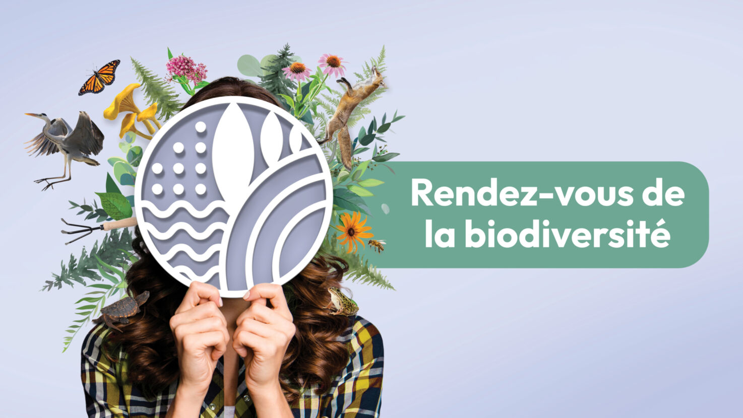 Saint-Sauveur/Rendez-vous de la biodiversité
