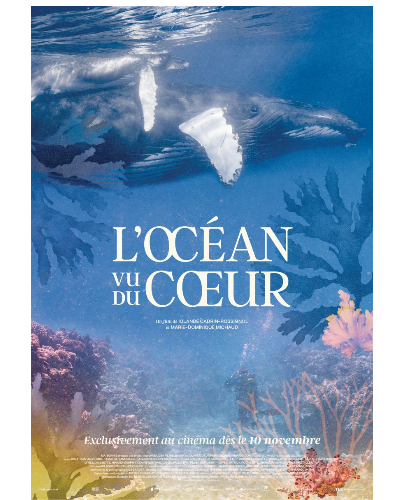L'océan vu du coeur/L'affiche