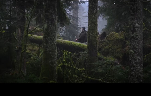 Le chant des forêts