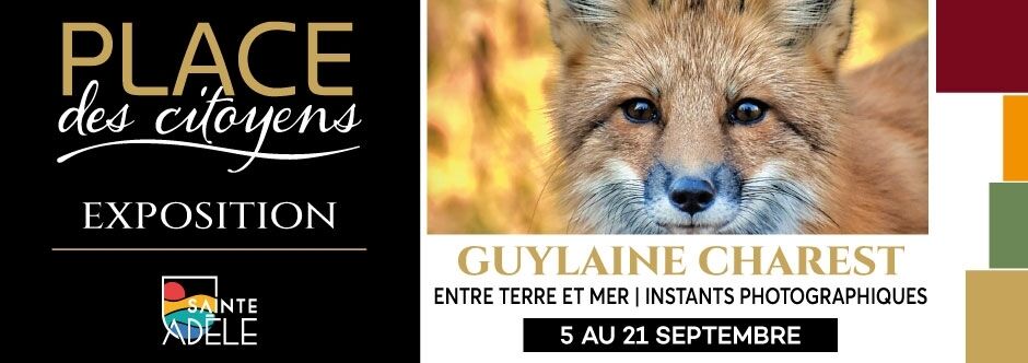 Guylaine Charest