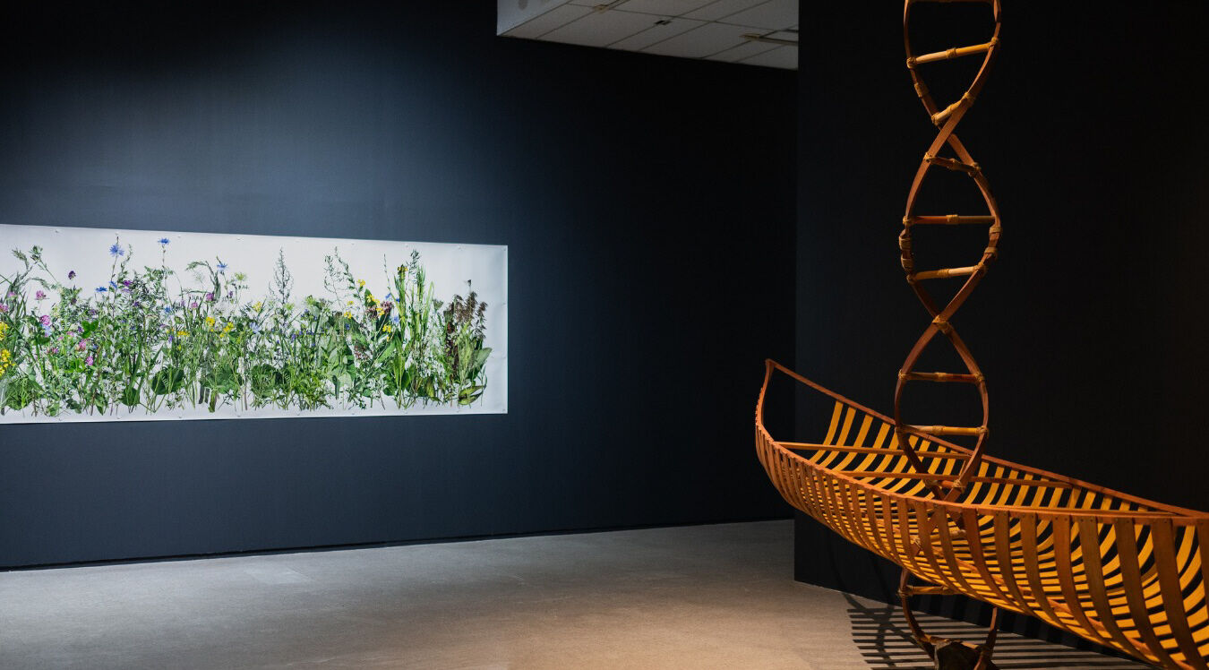 Ignitions et traversées