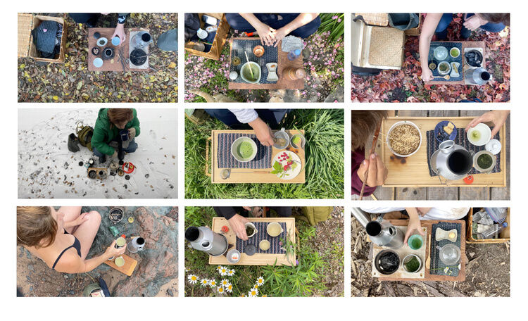 Time Machine/Diane Borsato